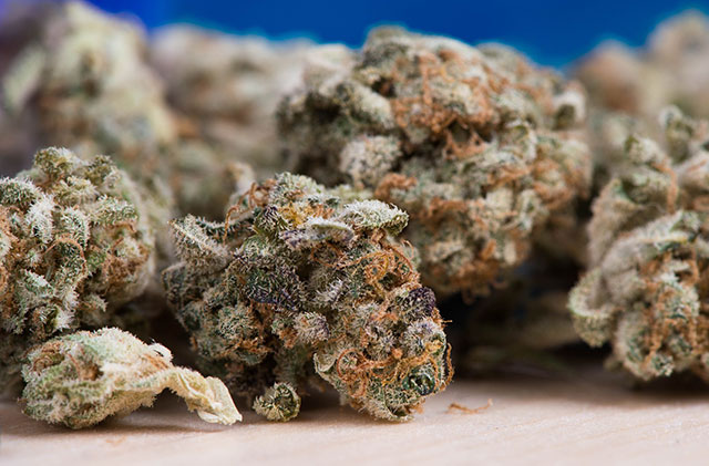 New Science Reveals That Marijuana May Be More Addictive Than Previously Thought