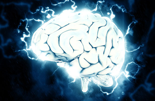 How do Drugs Impact the Human Brain?