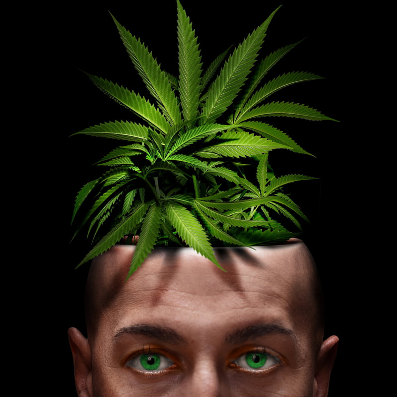 Marijuana and the Adolescent Brain